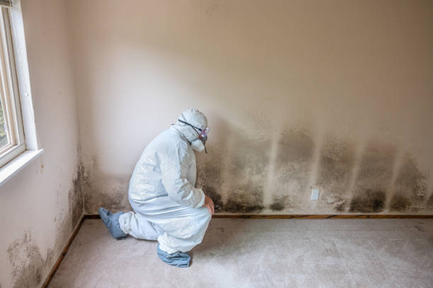 Best Preventive Mold Services in Marmora, NJ